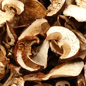 buste per funghi secchi e tartufi