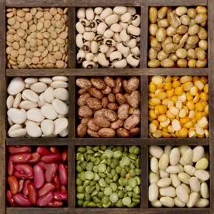 buste e sacchetti per legumi, sacchetti in alluminio